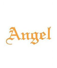 Angel Insurance